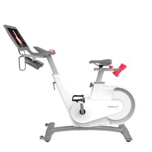 Купить Велотренажер Yesoul BV1-W PLUS в Певеке 